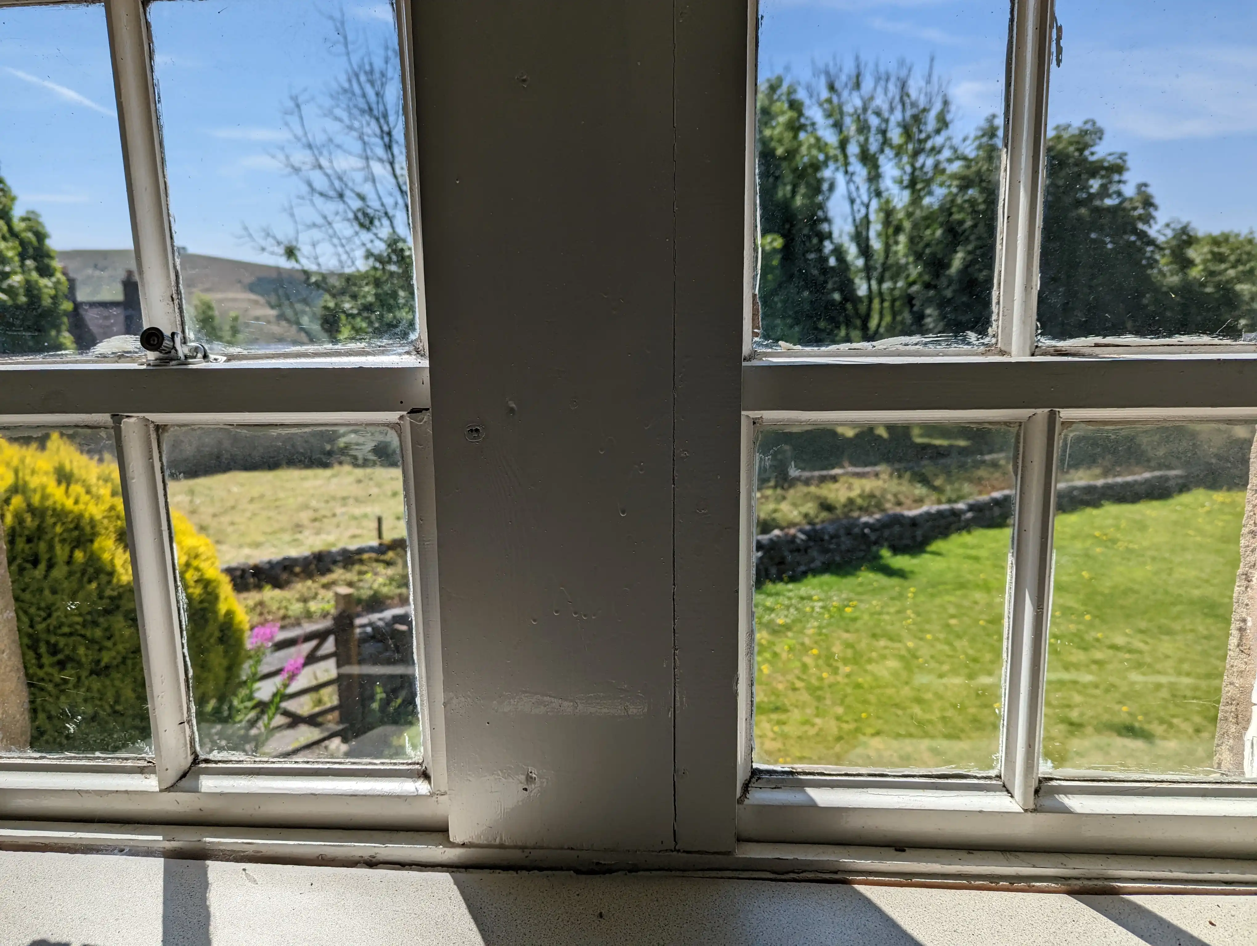 Window