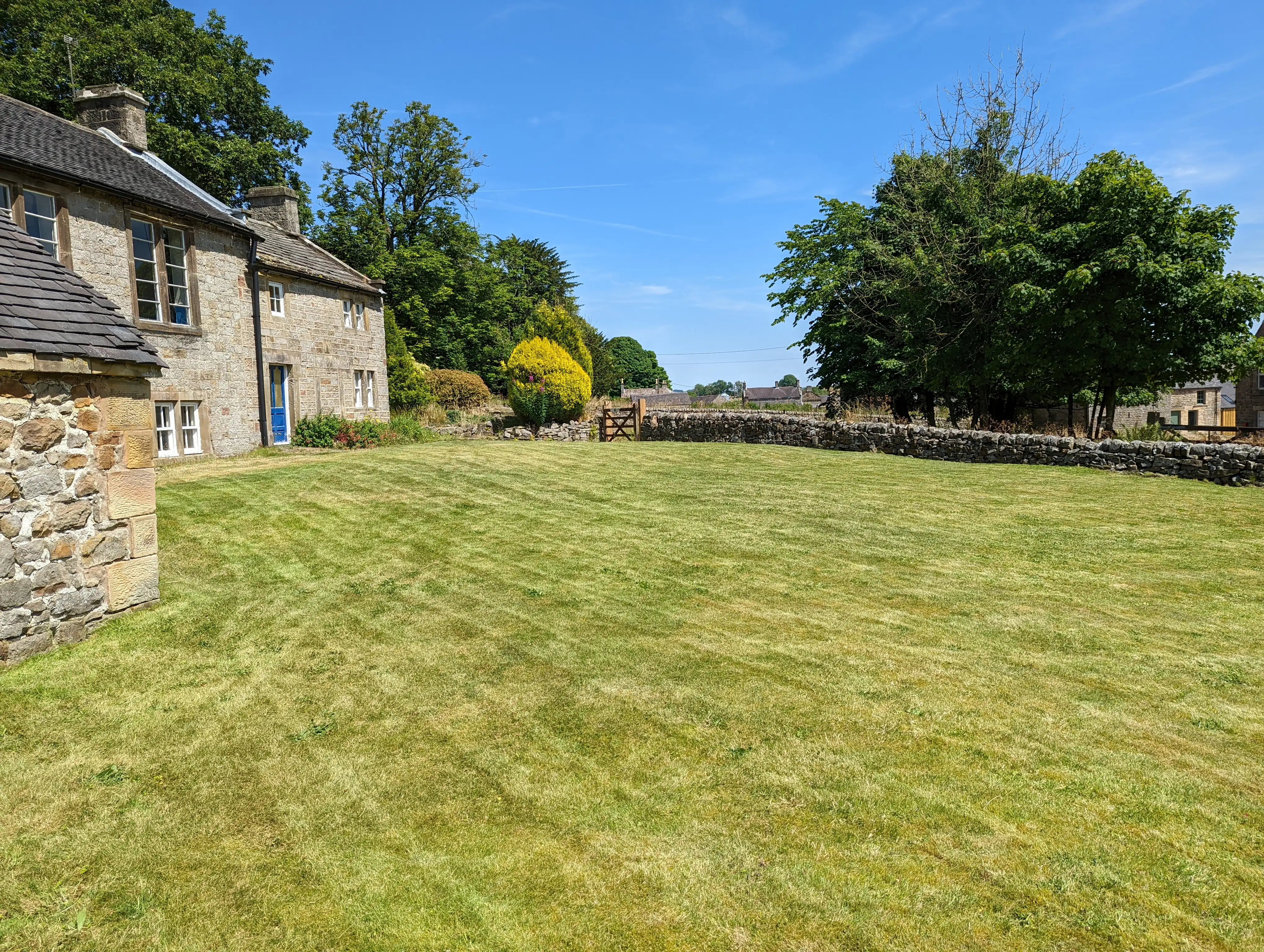 Lawn