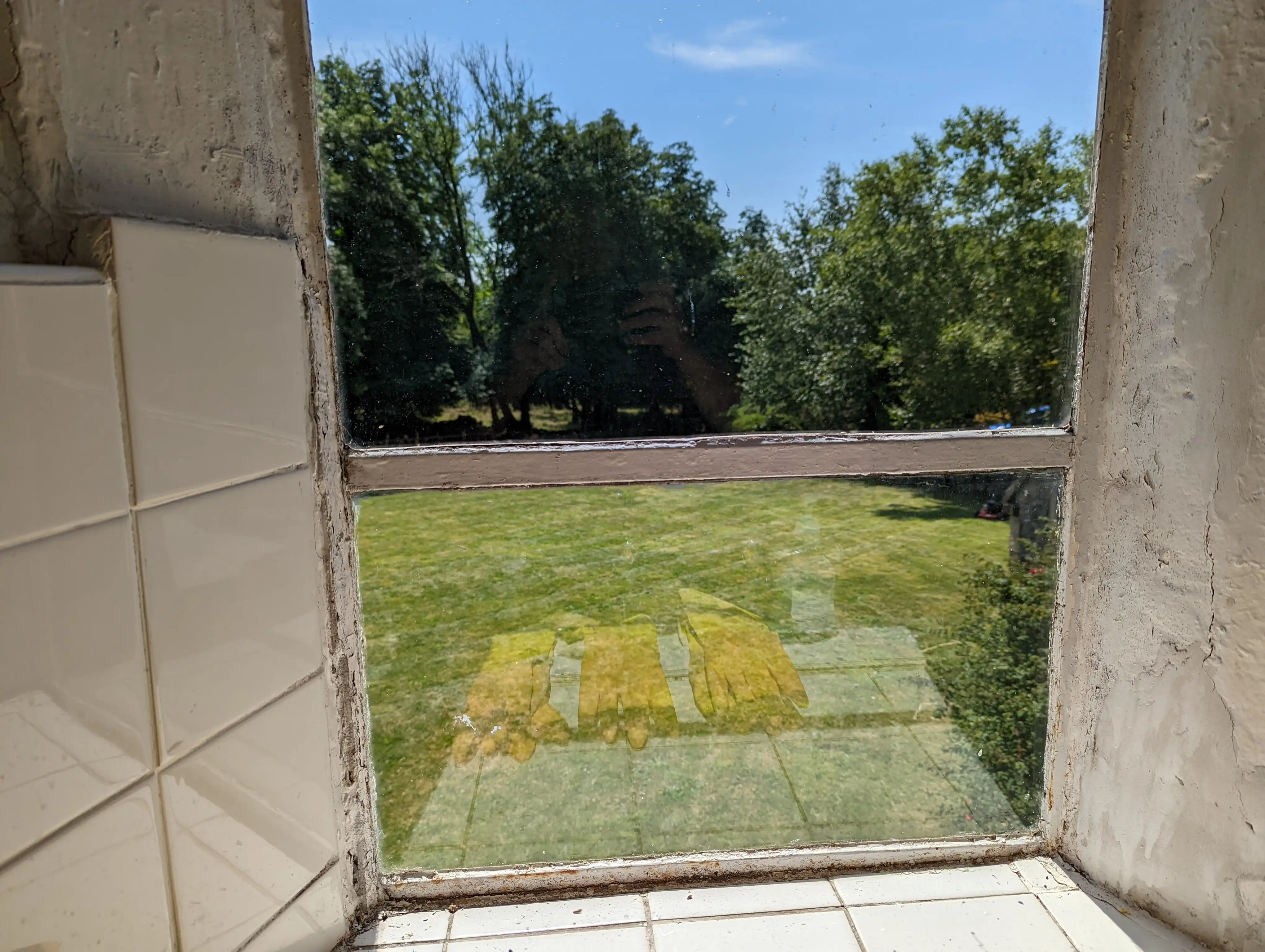 Window